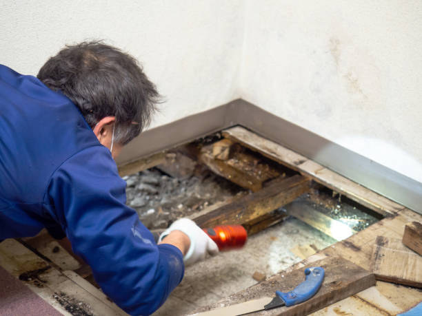 Attic Mold Removal in Greenwood Lake, NY