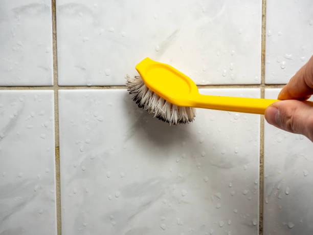 Best Attic Mold Removal  in Greenwood Lake, NY