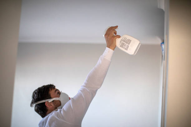Best Mold Removal Near Me  in Greenwood Lake, NY